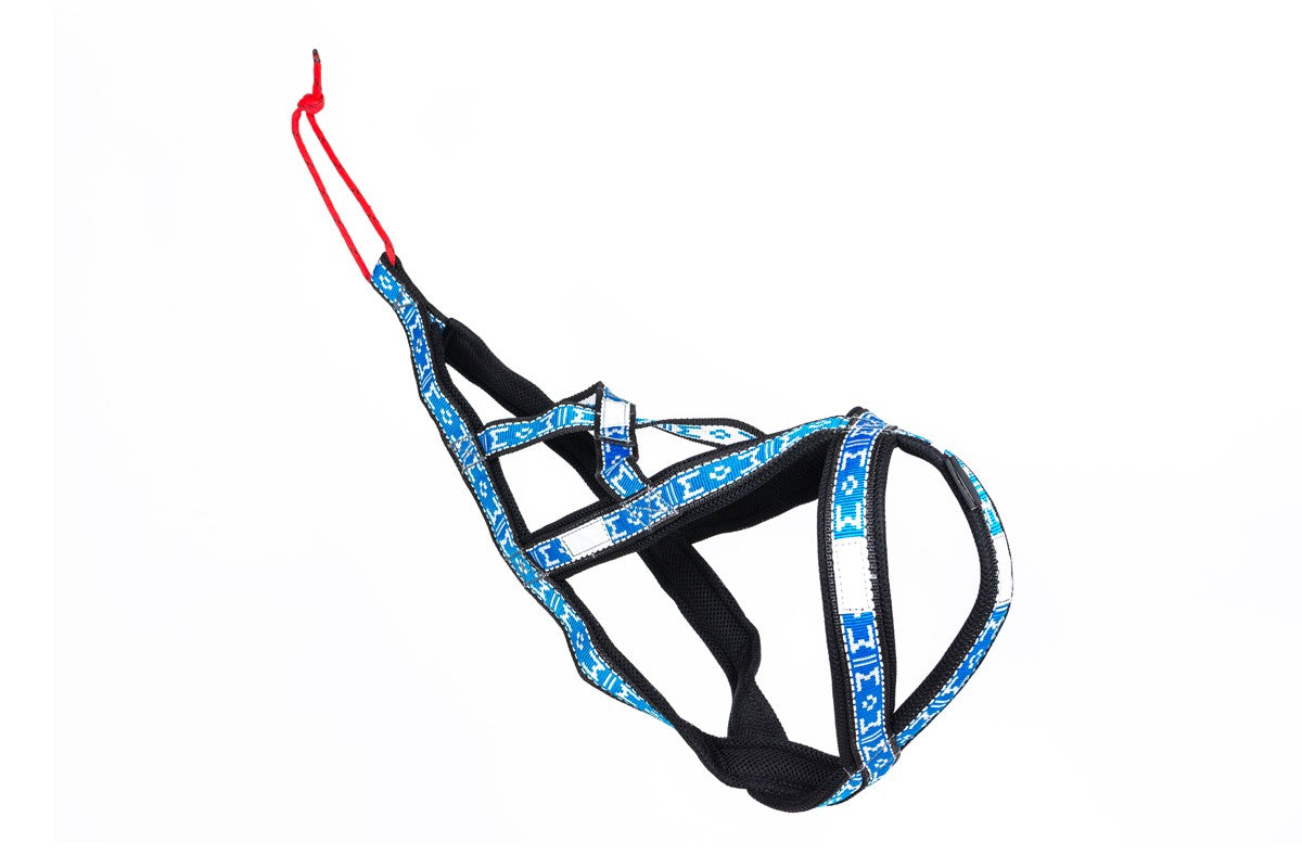 Manmat Sled/Canicross Harness