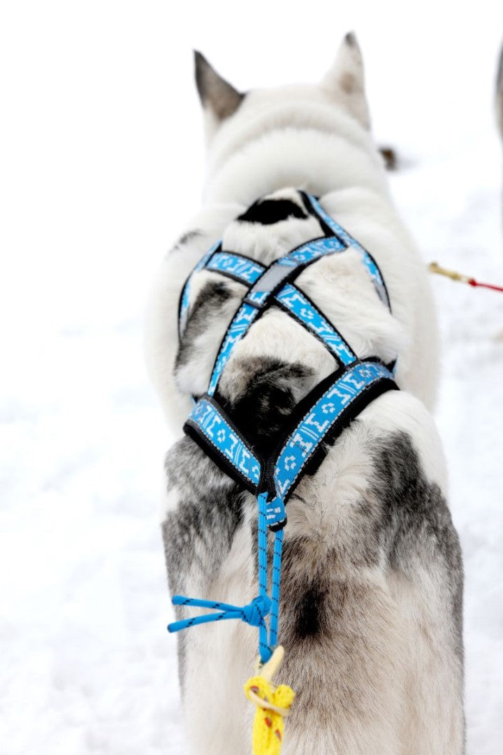 Manmat Sled/Canicross Harness