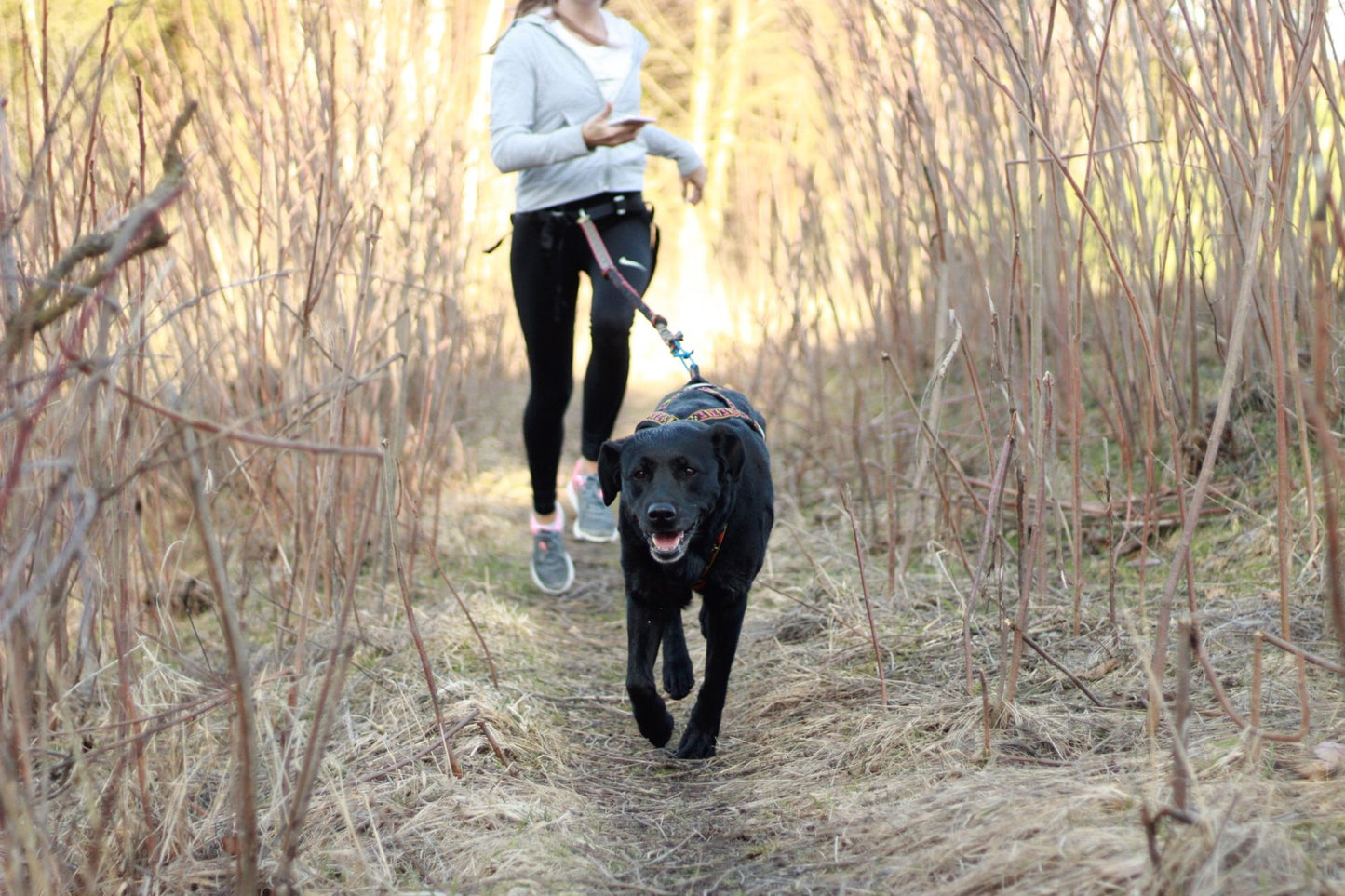 Manmat Sled/Canicross Harness