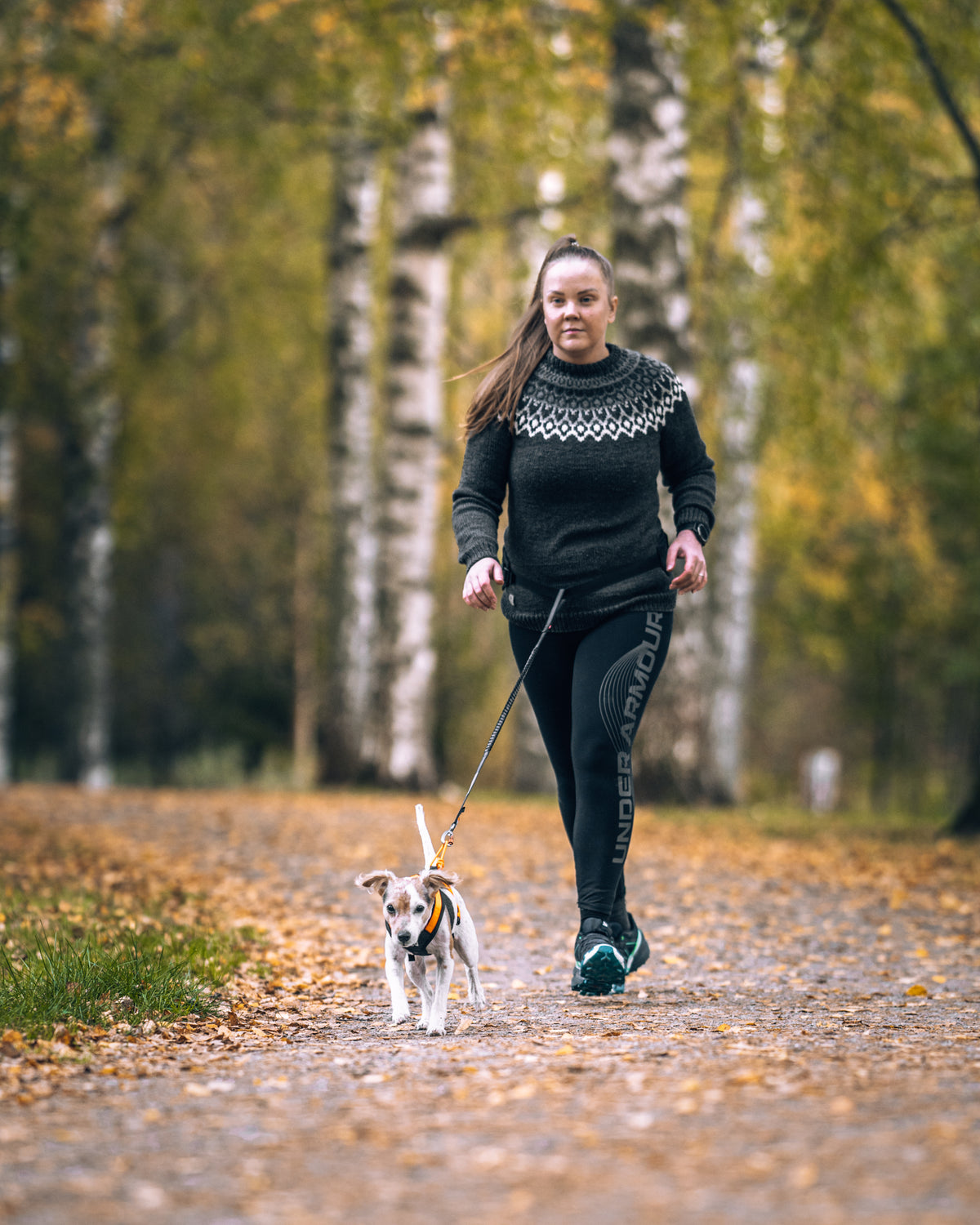 Rush Belt - Non-Stop Dogwear