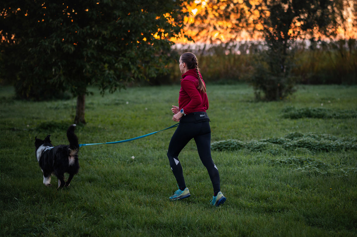 Rush Belt - Non-Stop Dogwear