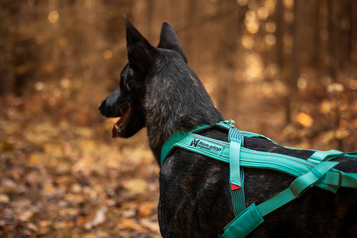 Freemotion 5.0 - Non-Stop Dog Wear