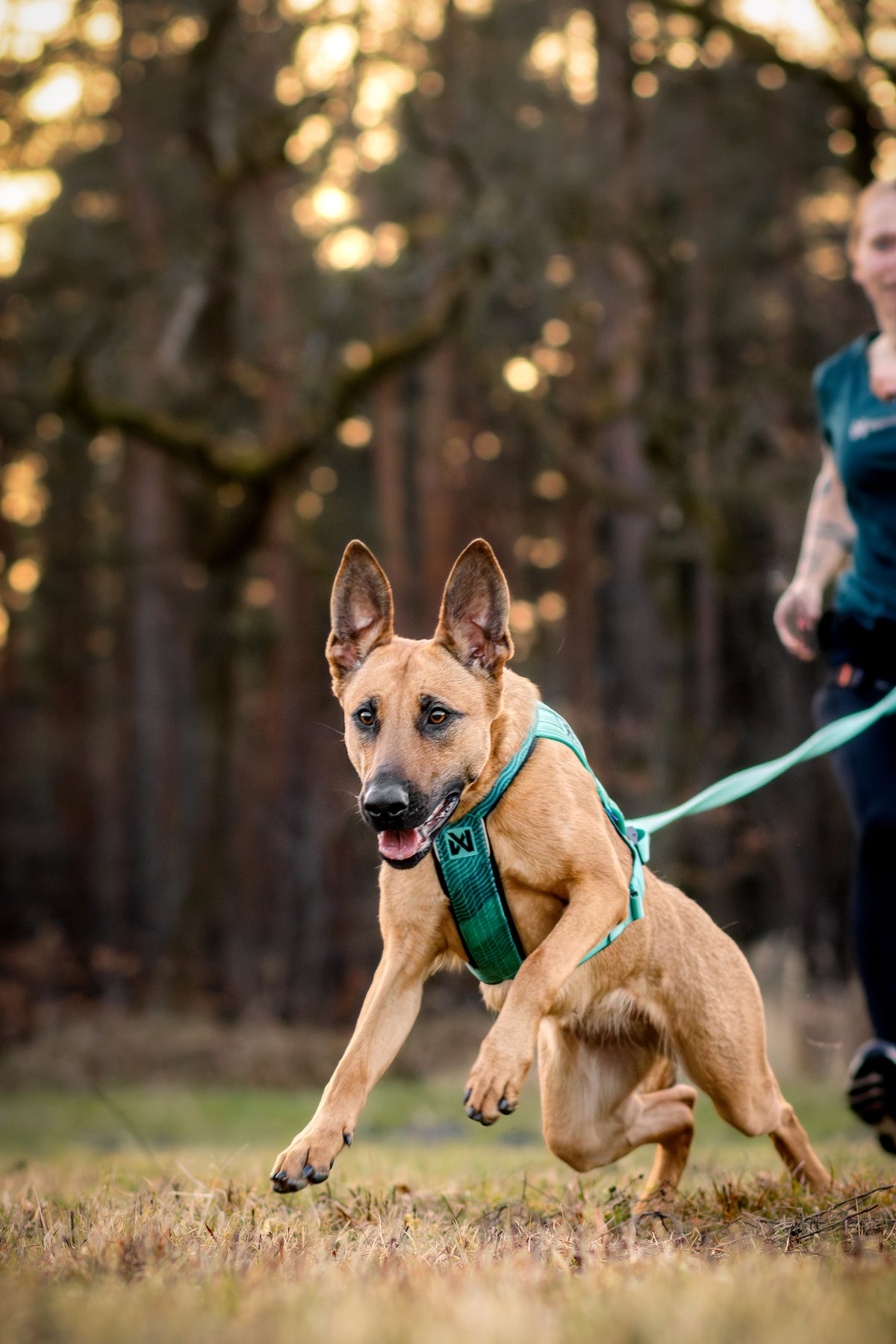 Freemotion 5.0 - Non-Stop Dog Wear